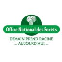 Journée internationale des Forêts